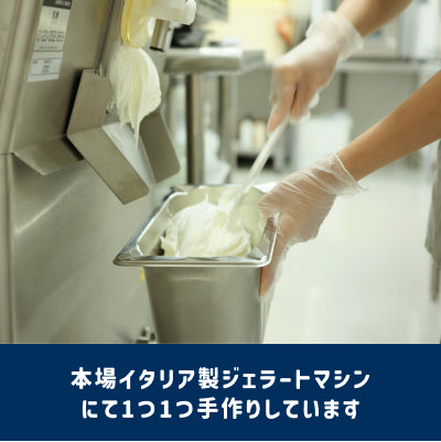 《送料込》ジェラート 2L 大容量［ラムレーズン］