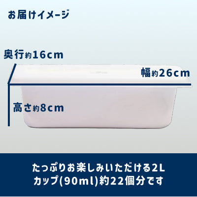《送料込》ジェラート 2L 大容量［ラムレーズン］